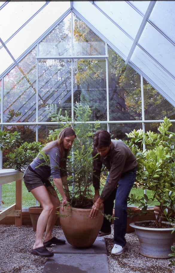 Maximize Your Growing Space in Your Greenhouse Tips and Tricks